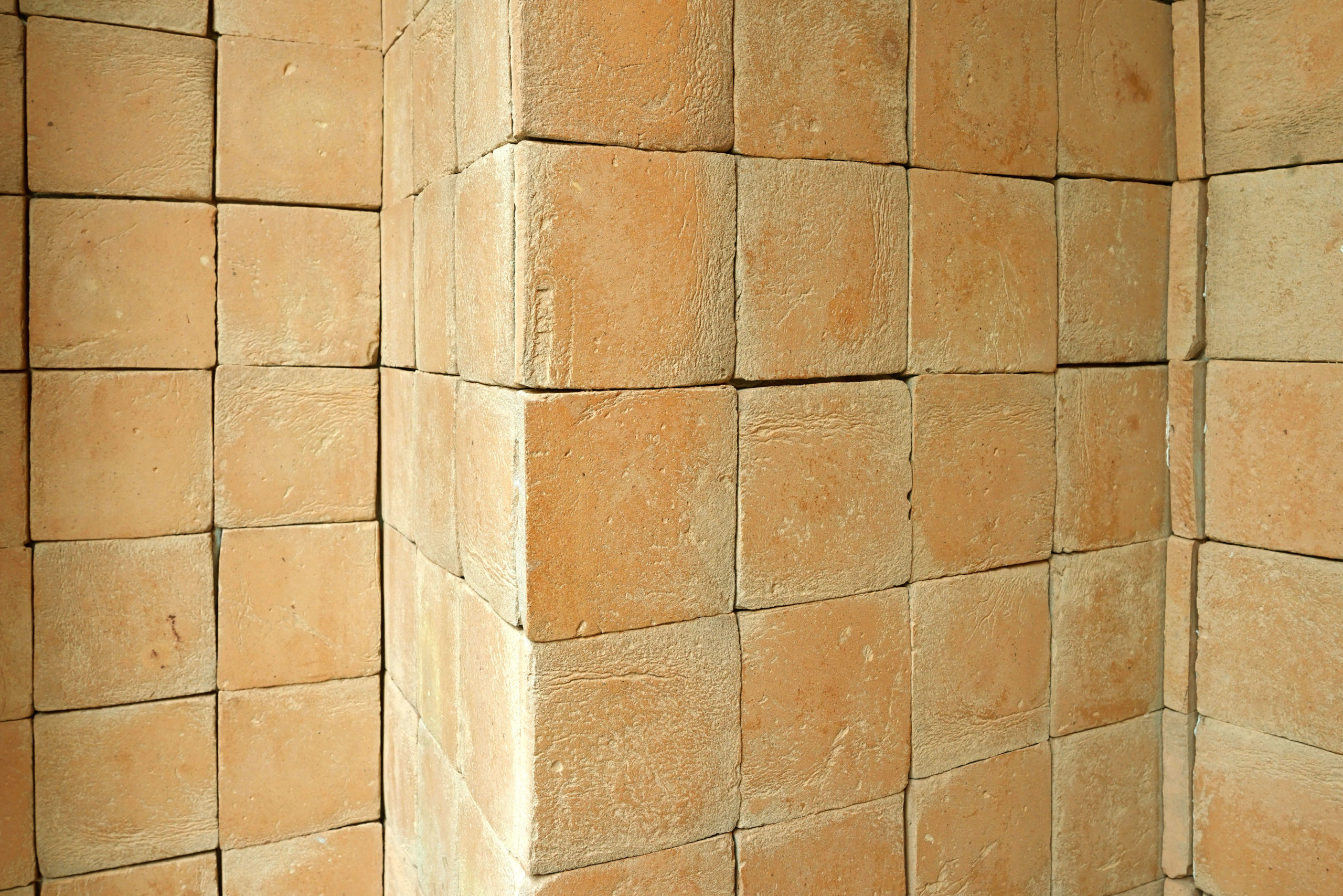 Uva d'oro 2